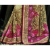 Phenomenal Beige Colored Woolen Embroidered Net Saree Phenomenal Beige Colored Woolen Embroidered Net Saree
